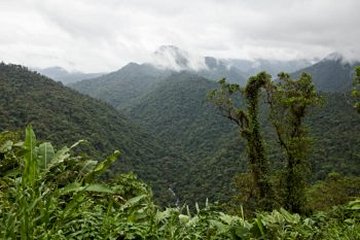 Parc national Braulio Carrillo