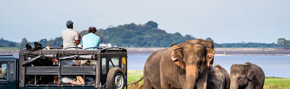 Parc national de Minneriya