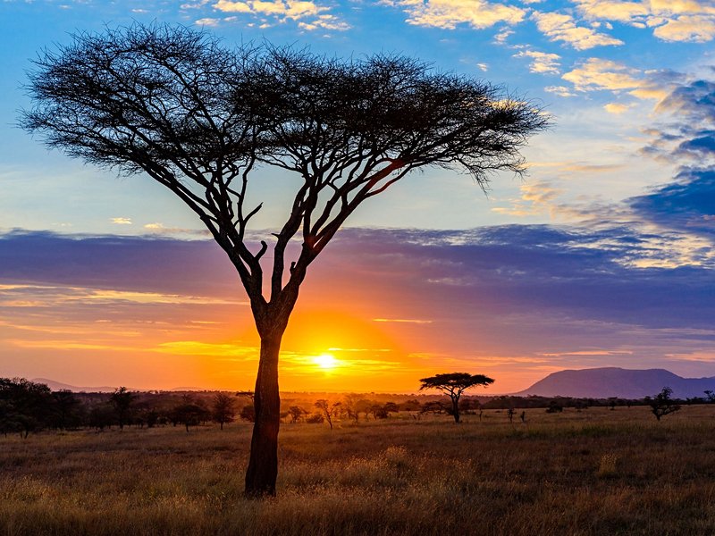 Parc national du Serengeti