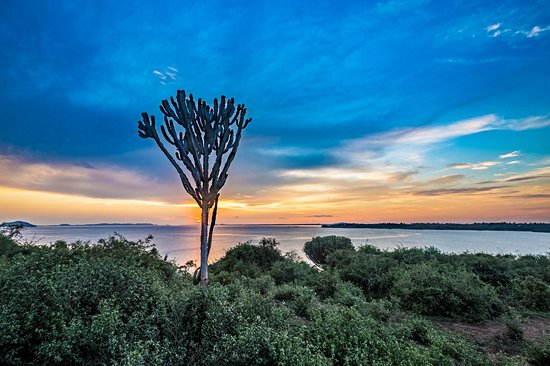 Lac Victoria