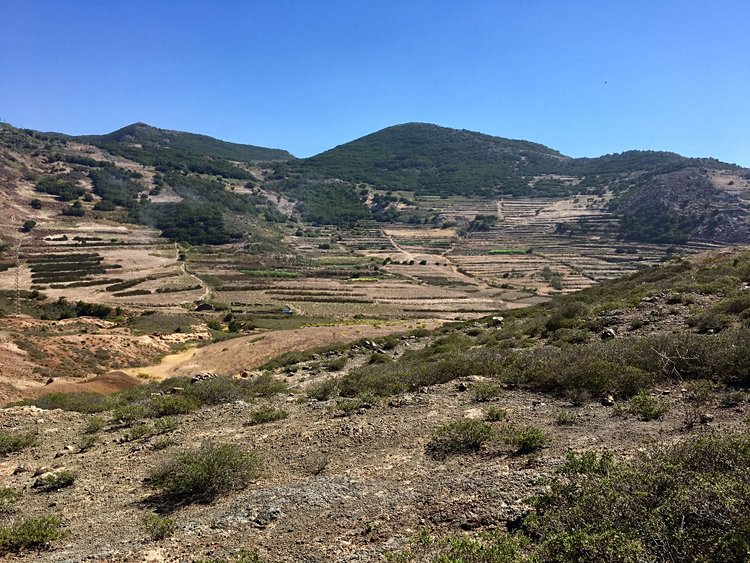 Parc Rural del Teno 3