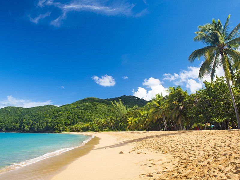 La plage de Grande Anse à Deshaies