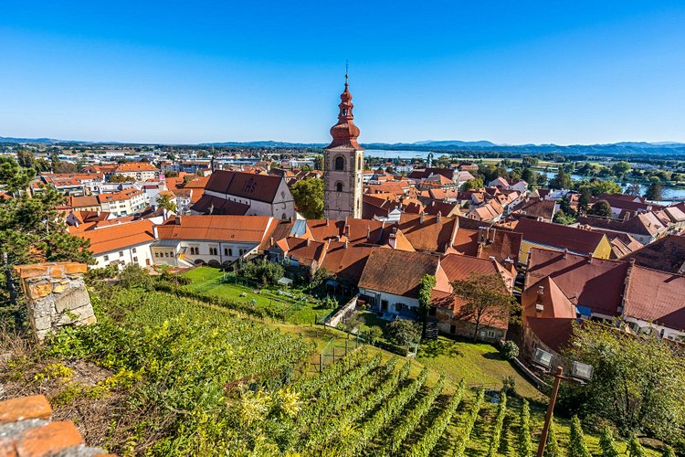 La ville ancienne de Ptuj 2