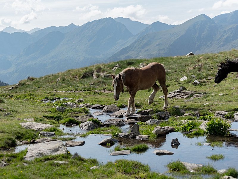 Le parc naturel de la vallée de Sorteny