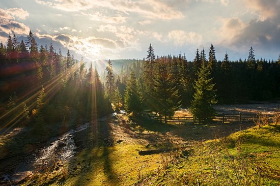 Parc naturel Apuseni