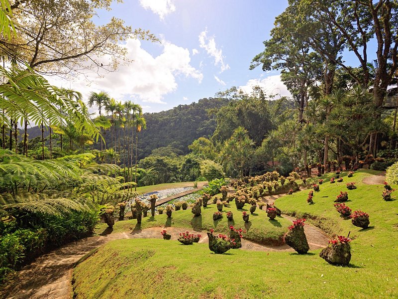Jardin de Balata