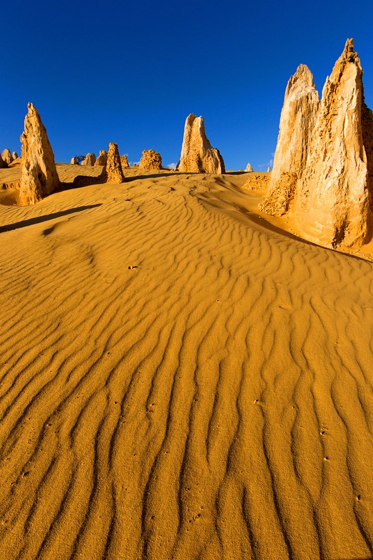 Pinnacles Desert