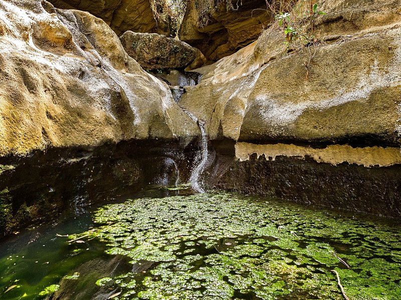 Parc national de Hell's Gate