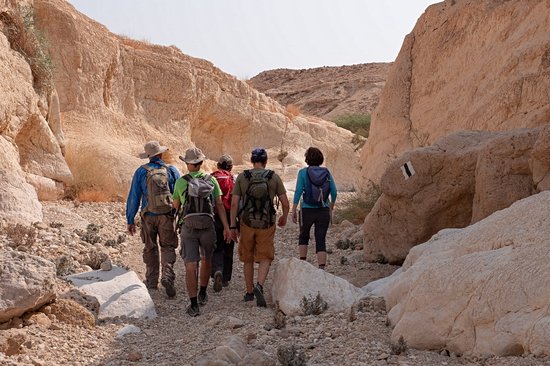 L'asséchée : Chemin Zafit