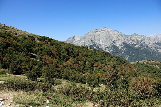 Monte d'Oro