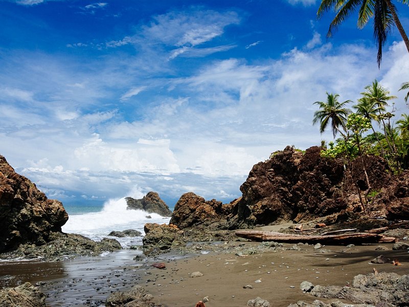 La paradisiaque : Pavones