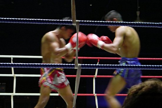 Assister à un match de boxe thaïe