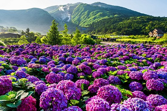 Parc national de Yangmingshan