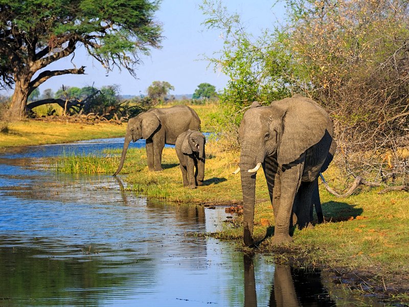 La bande de Caprivi