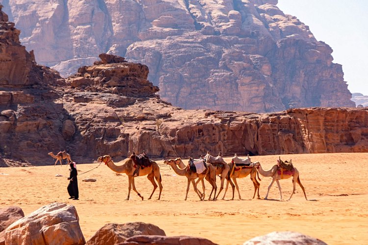 Le désert du Wadi Rum - Jordanie 2