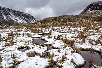 Parc national de Los Nevados