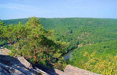 Le parc national de Thayatal