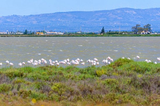 Delta de l’Ebre