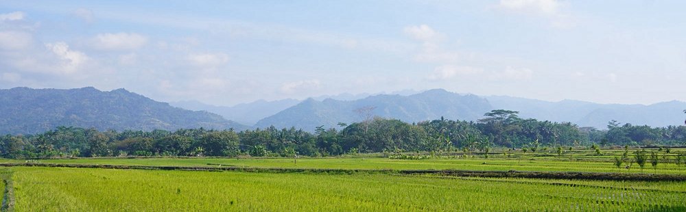 Autour de Yogyakarta (Java)