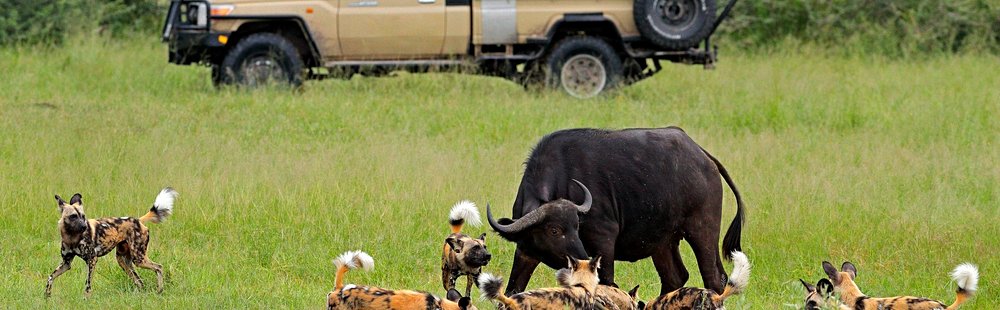 Moremi Game Reserve