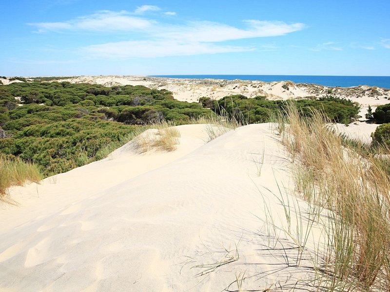 Parc national de Doñana