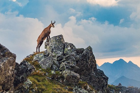 Hautes Tatras