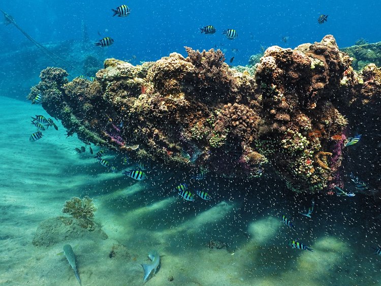 L'épave du Japanese Wreck