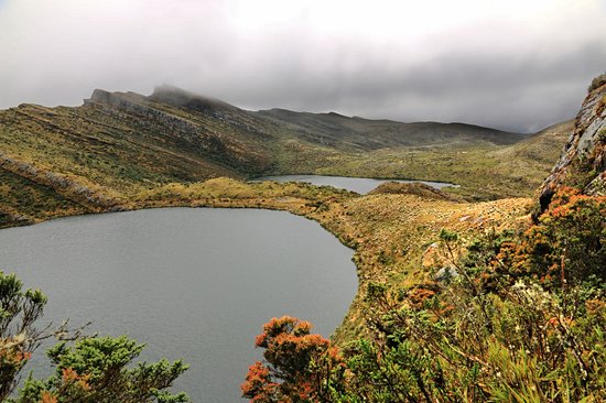 Parc national naturel de Chingaza