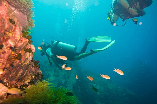 Koh Tao