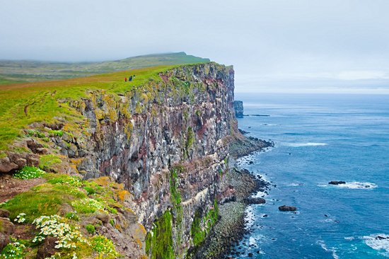 Látrabjarg