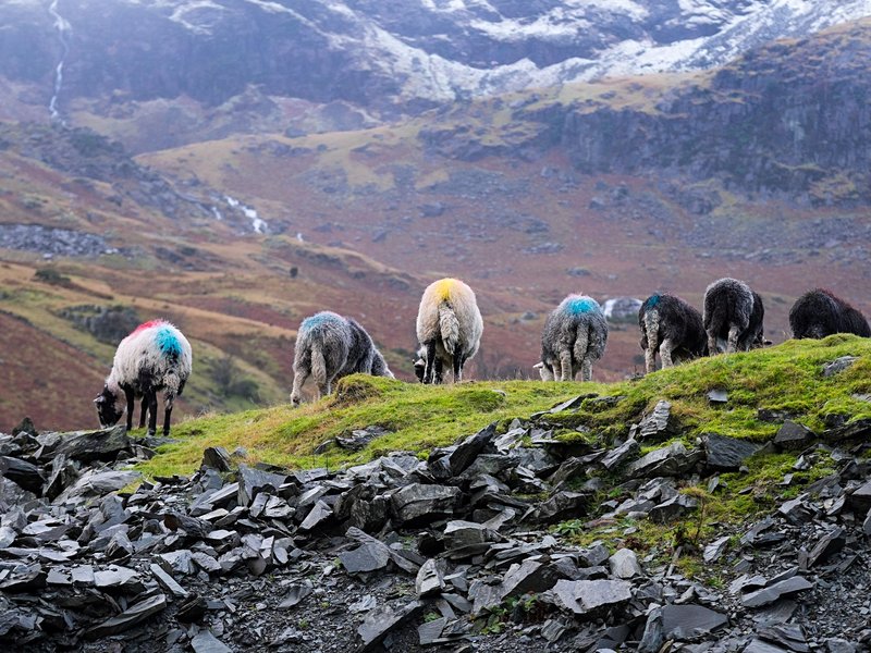 Parc national du Lake District