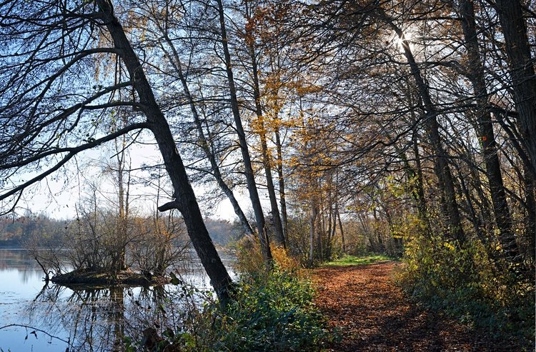 Parc Naturel régional du Gâtinais 2