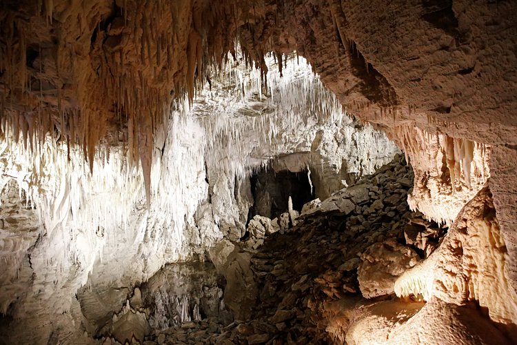 Les caves de Waitomo  4