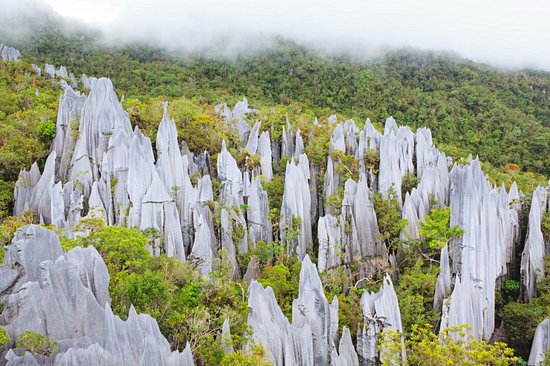 Parc national du Gunung Mulu