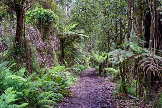 Parc national de la chaîne Dandenong