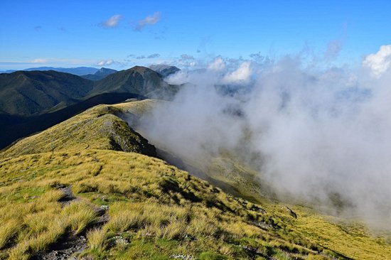 Parc national de Kahurangi