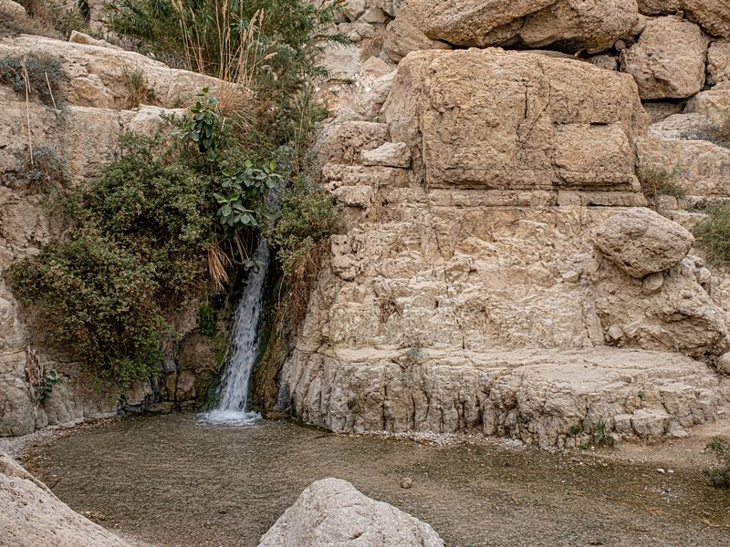 La balade désertique : Nahal David