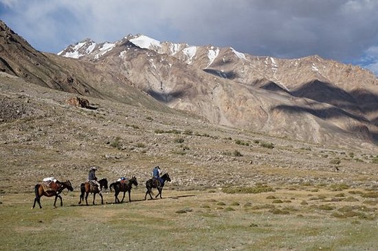 Faire une randonnée à cheval
