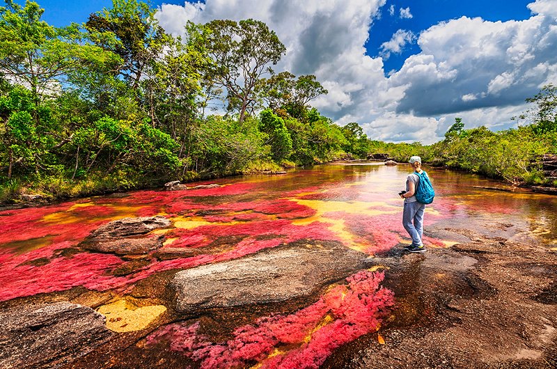 Visiter l'incroyable rivière à 5 couleurs : Caño Cristales