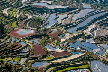 Rizières de Yuanyang