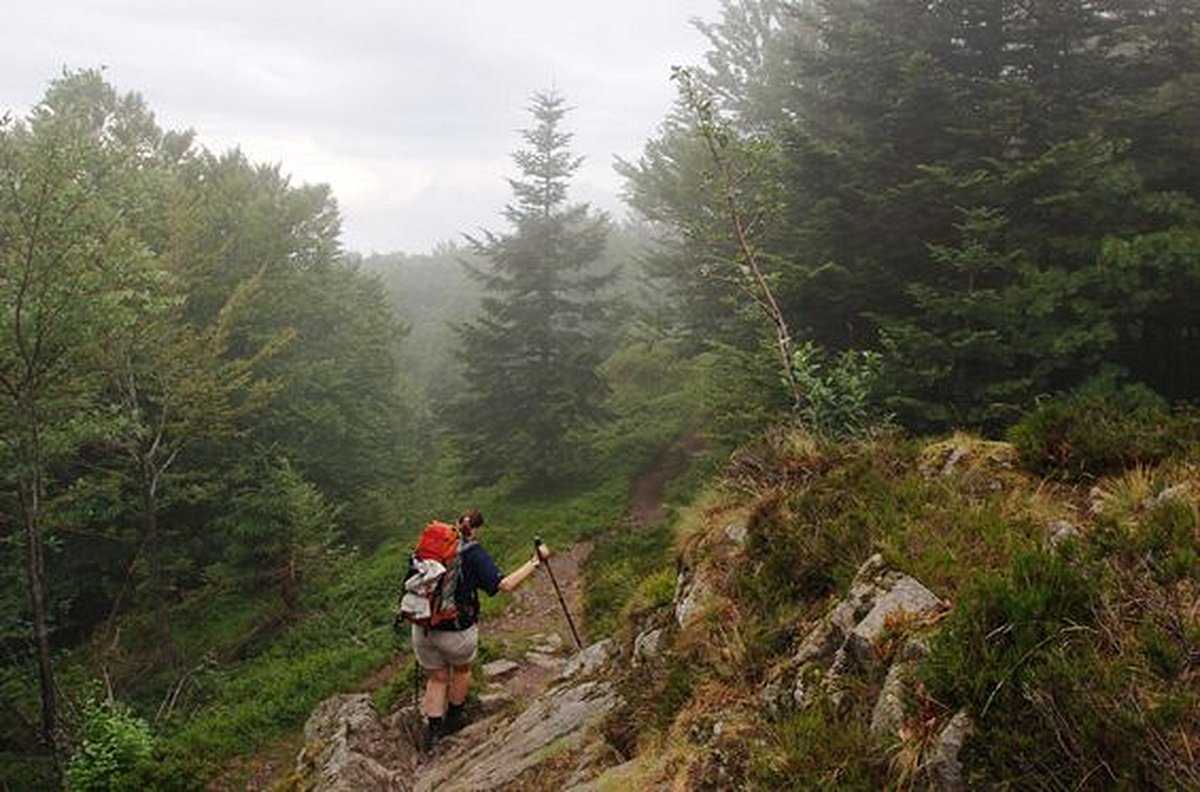 Randonner gaiement dans les Vosges