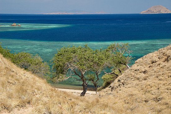 L'île de Rinca