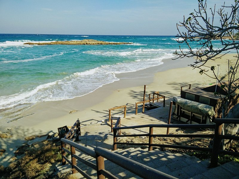 Fig Tree Bay