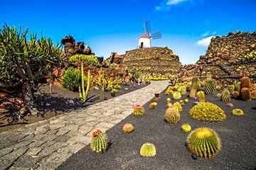 Jardin des Cactus