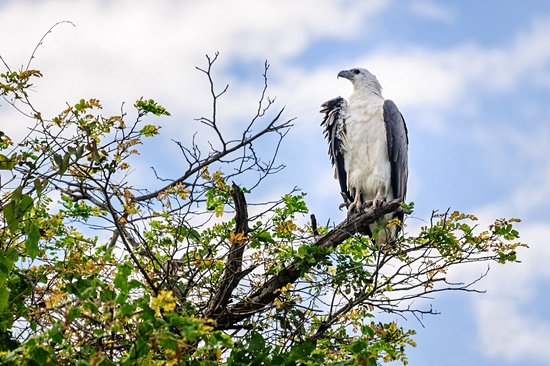 Parc national de Mary River