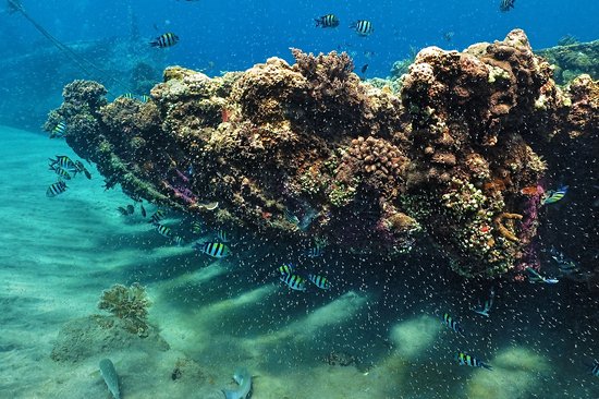 L'épave du Japanese Wreck