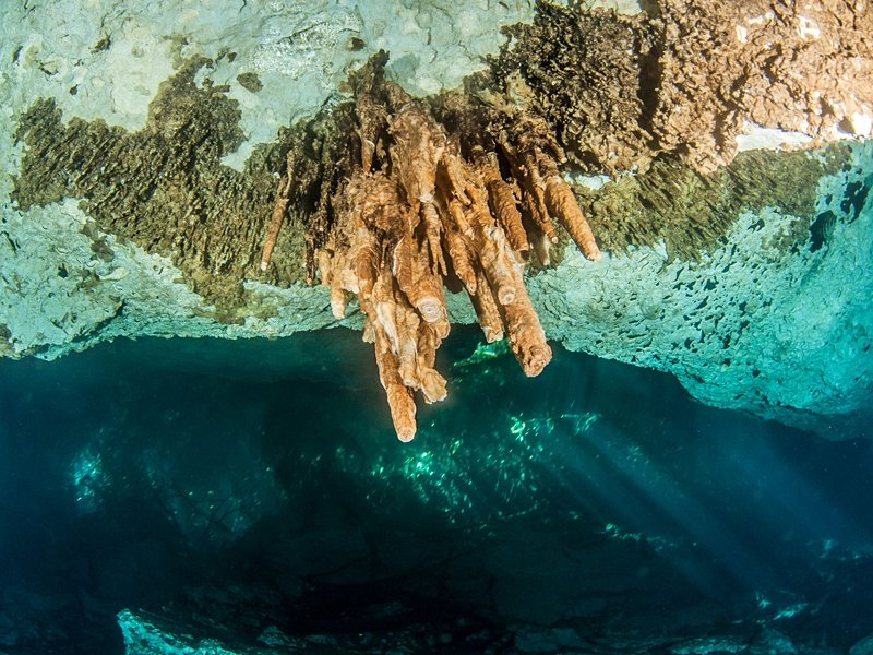 Cenote Jardin del Eden, Playa del Carmen