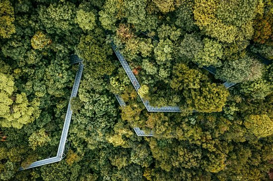 Southern Ridges