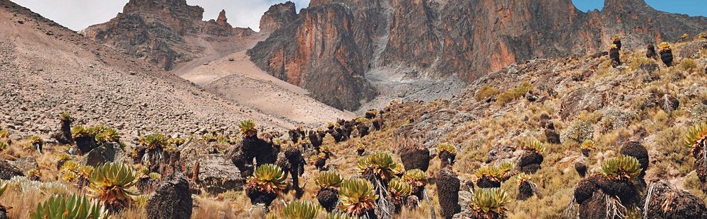 Parc national du mont Kenya