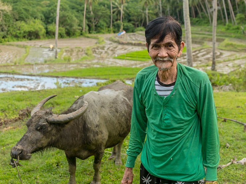 Visiter les fermes locales